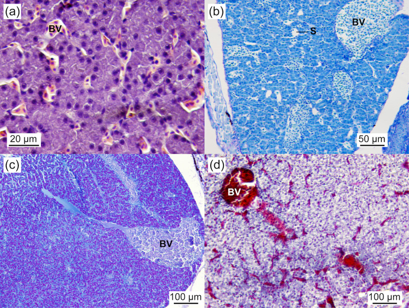 Fig 10