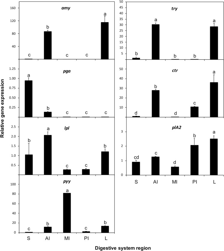 Fig 11