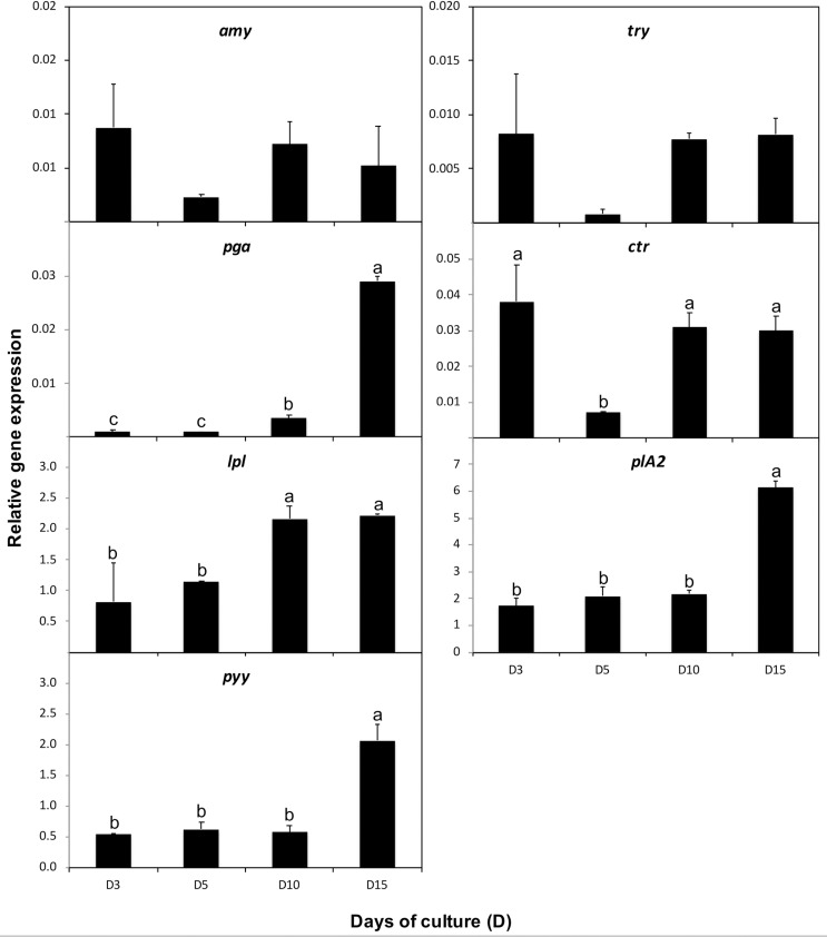 Fig 12