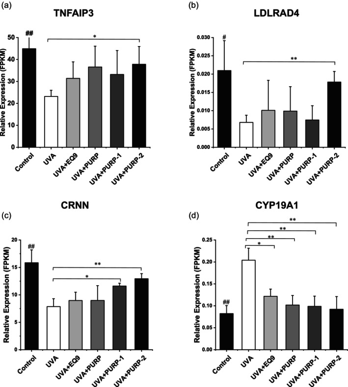 FIGURE 2