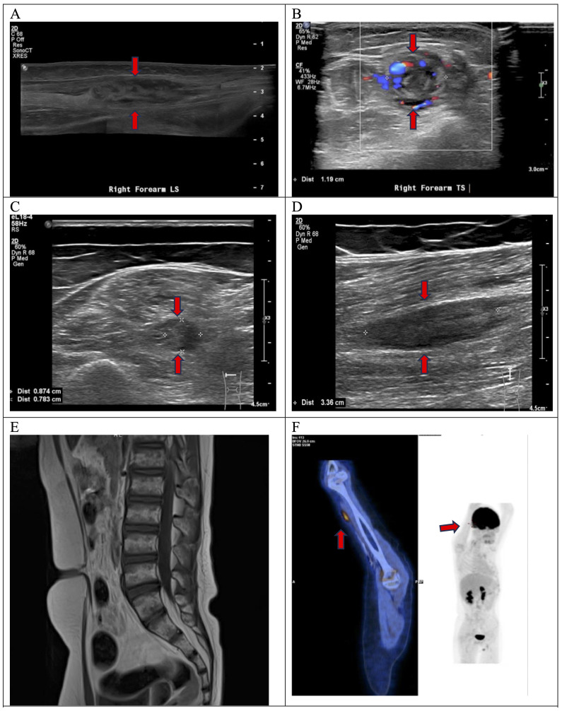 Figure 1