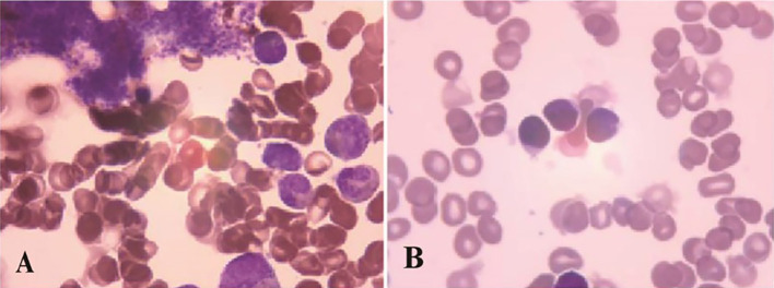 Figure 1