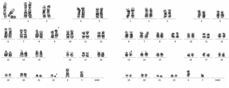 Figure 2