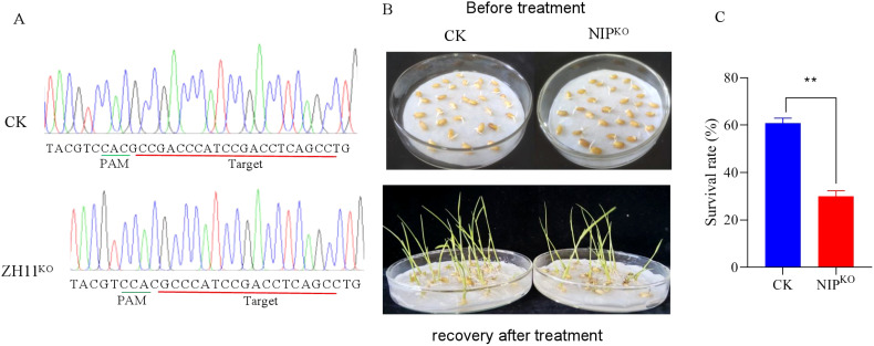 Figure 4