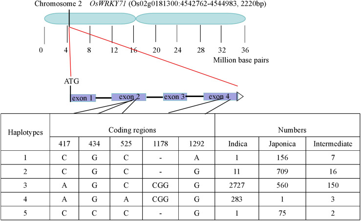 Figure 6