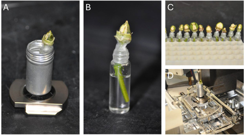 Figure 1