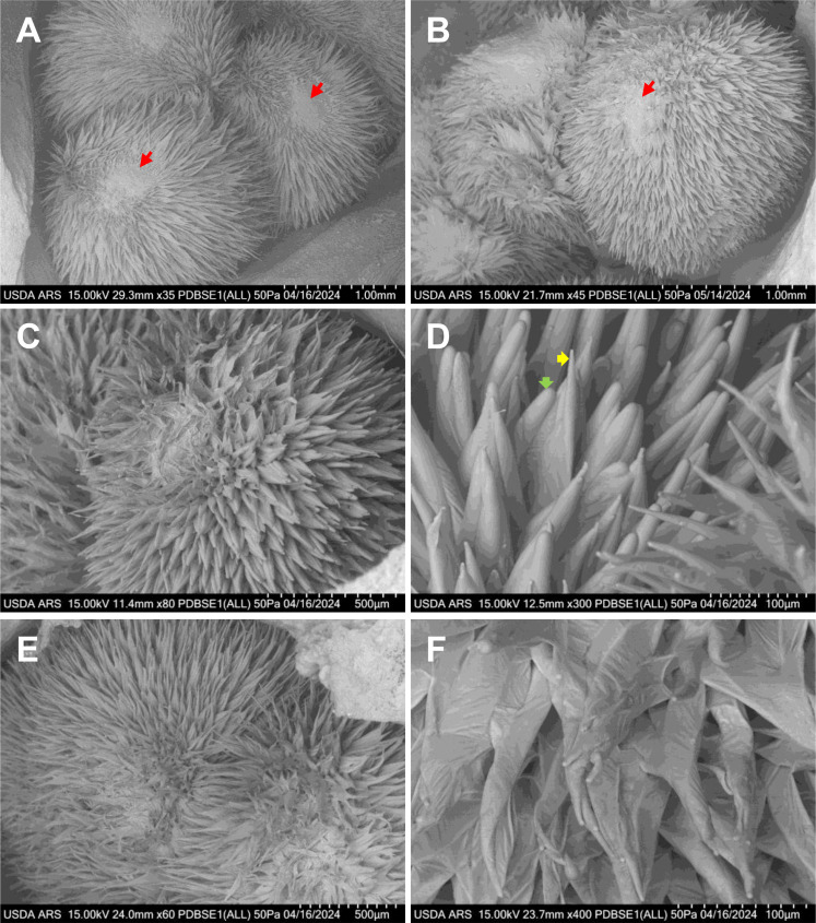 Figure 4