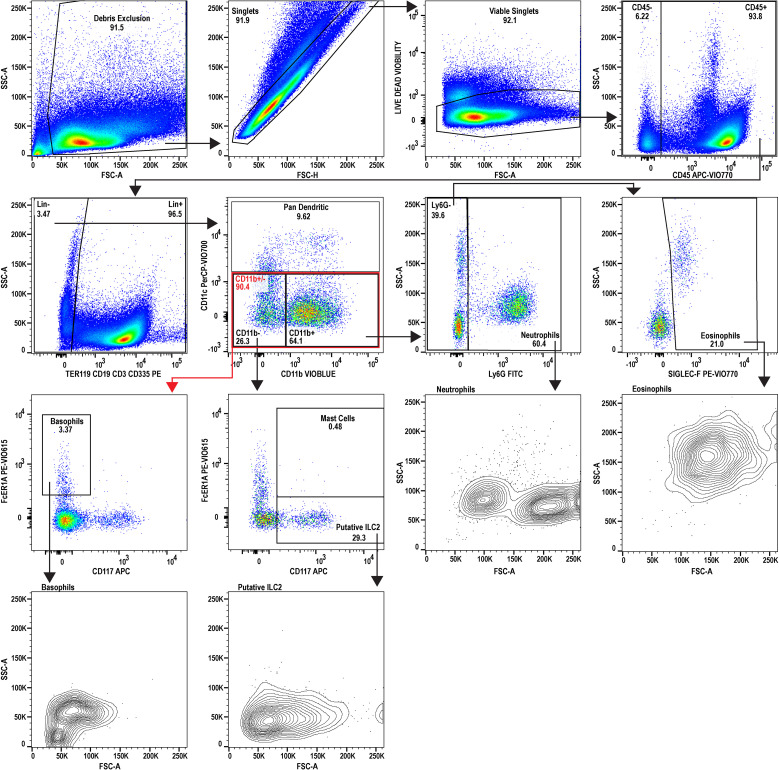 Figure 2