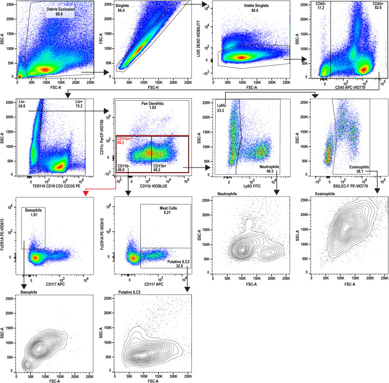 Figure 3