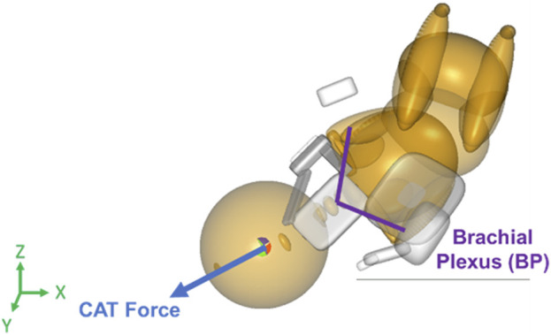 FIGURE 3