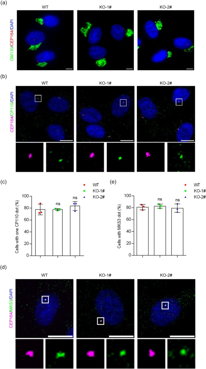 FIGURE 3