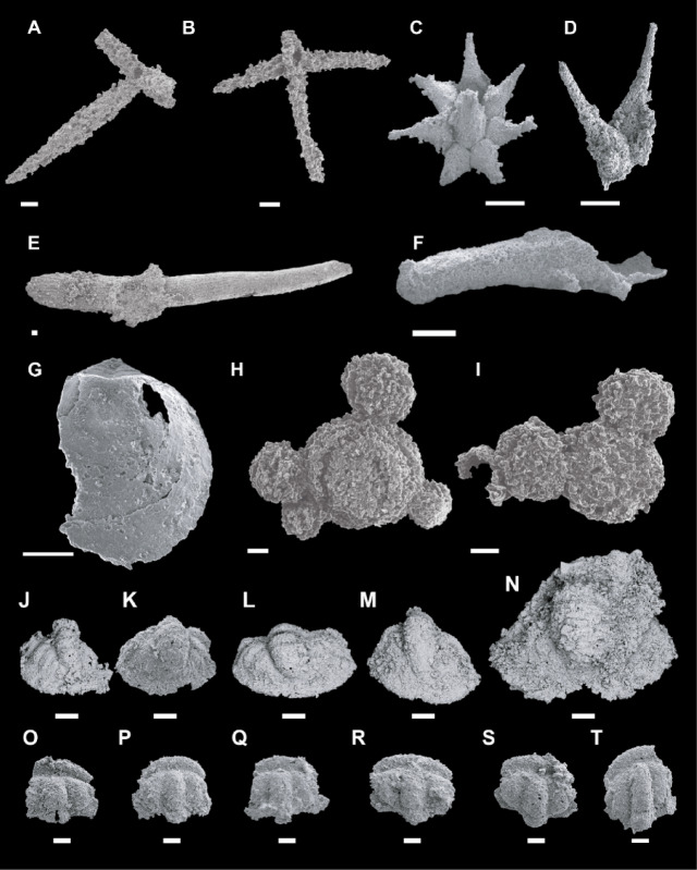 Figure 9