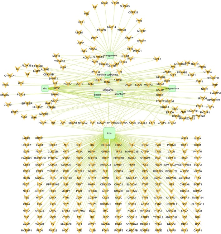 FIGURE 2