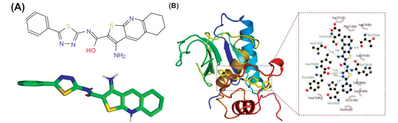 Figure 11