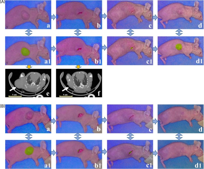FIGURE 4