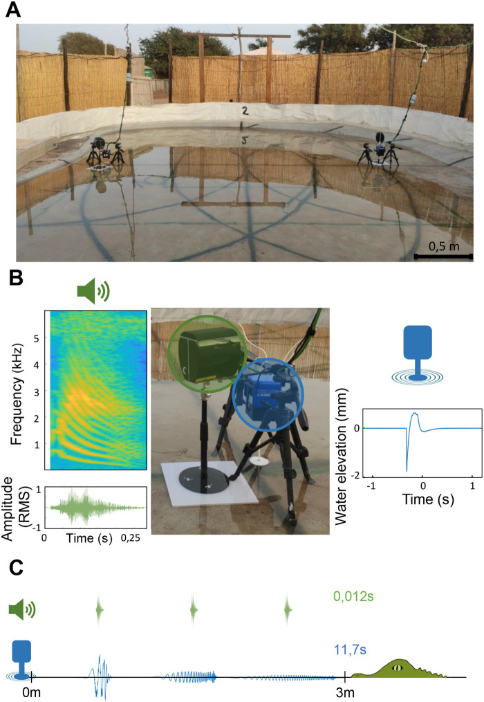 Fig. 3