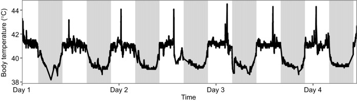 Fig. 5