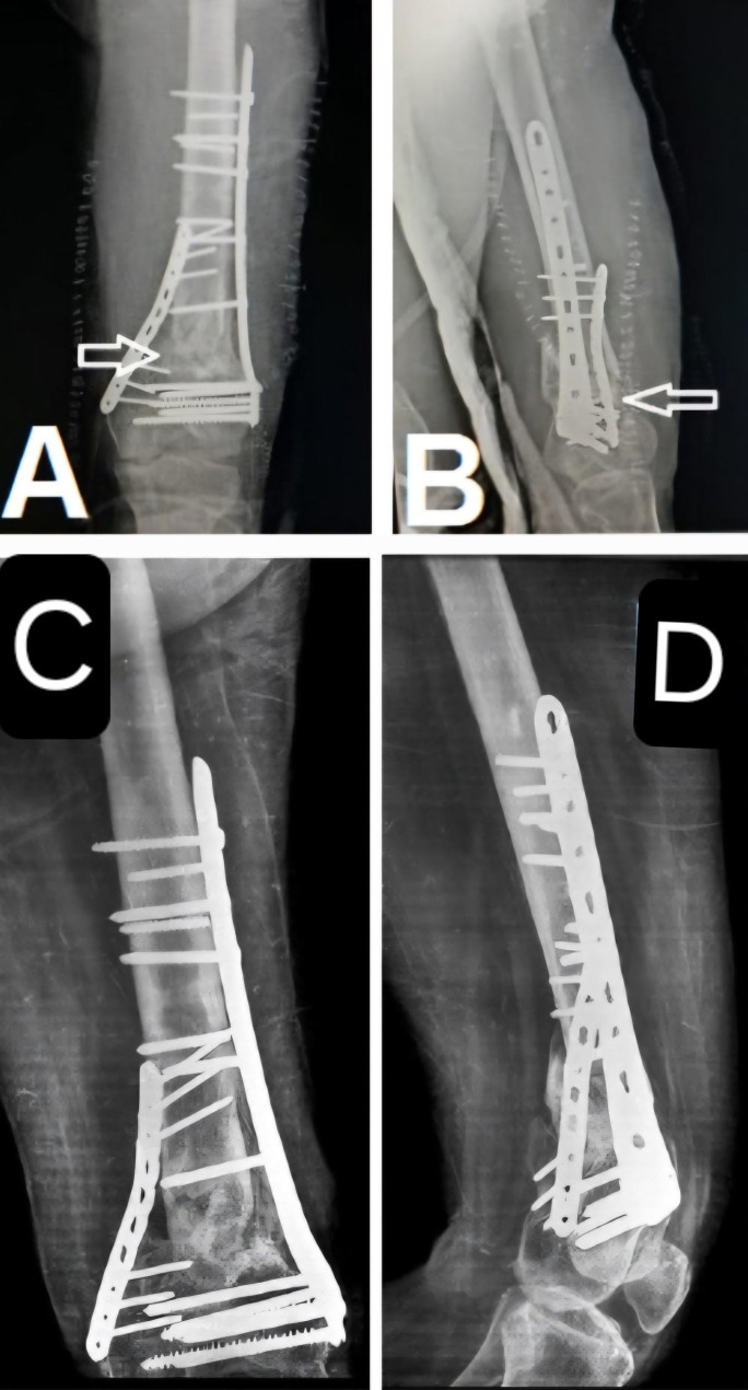 Figure 7