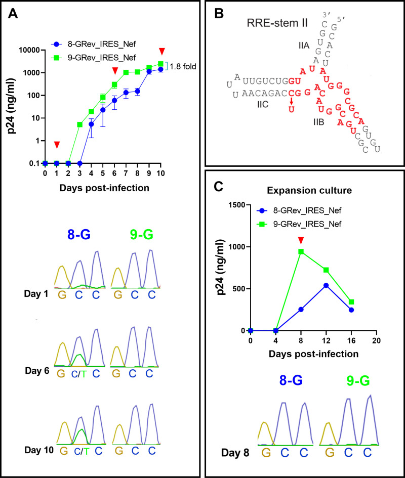 Fig 3