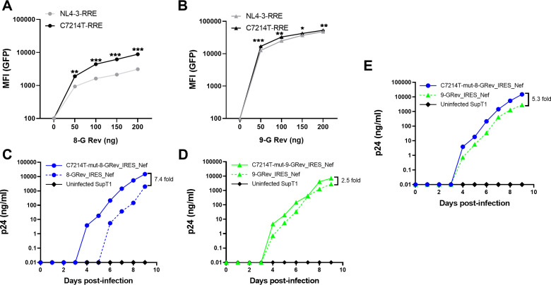 Fig 4