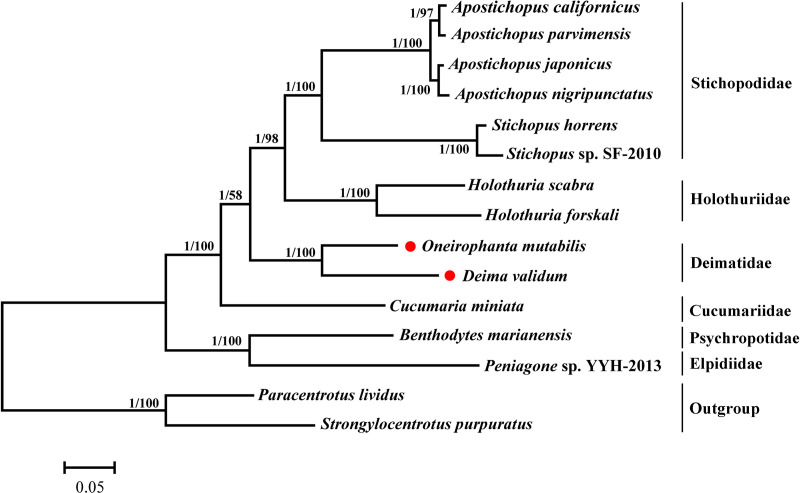Fig 4