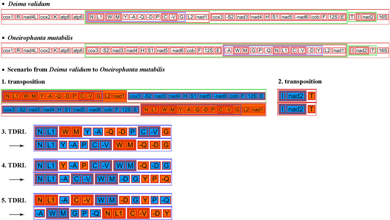 Fig 6
