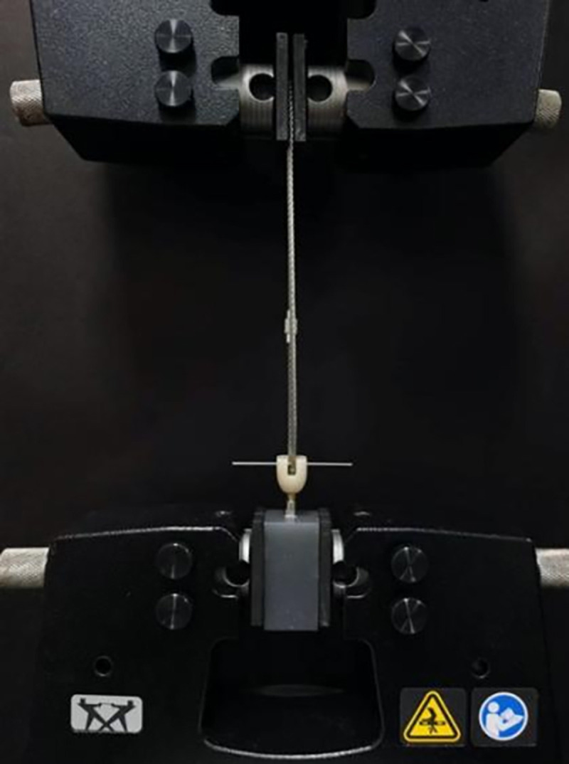 Fig 8