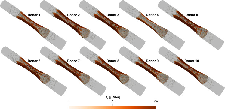 Fig 5