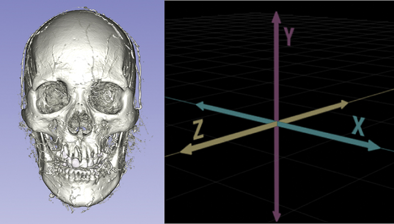 Fig. 1
