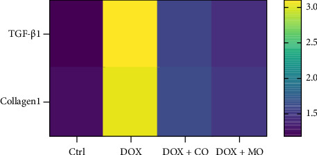 Figure 6