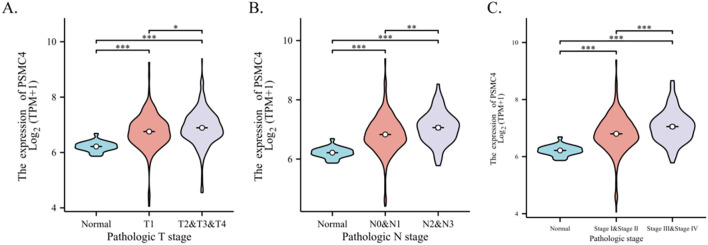 Figure 2