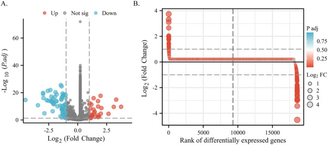 Figure 6