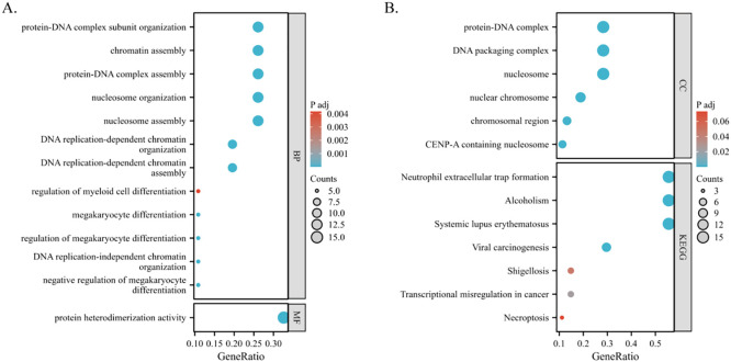 Figure 7