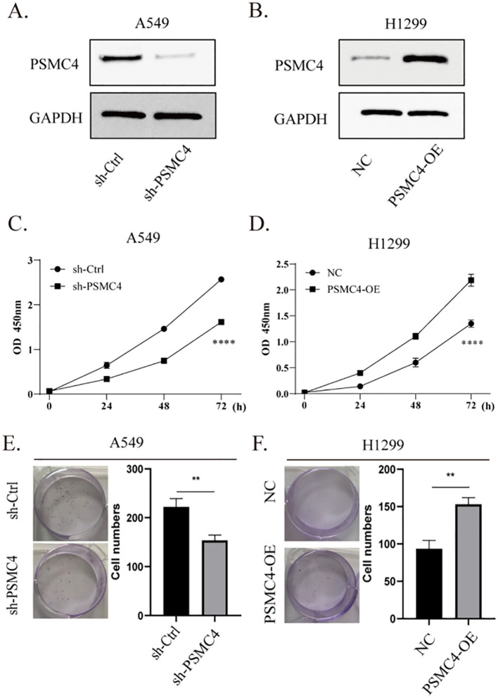 Figure 11
