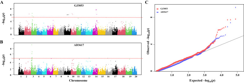 Figure 3