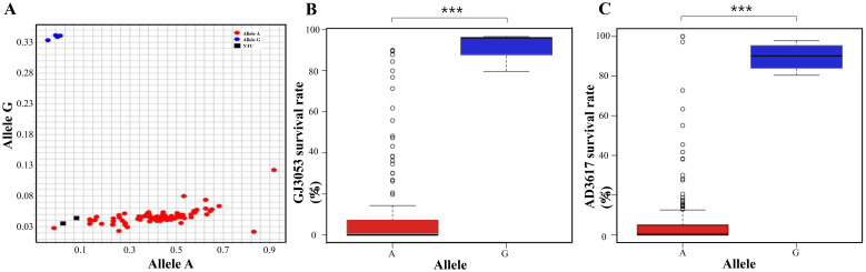 Figure 6