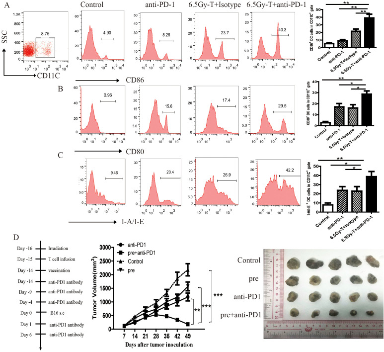 Figure 6
