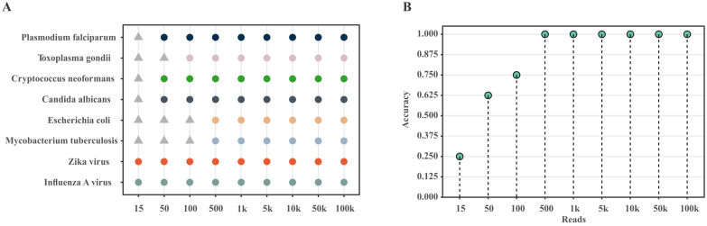 Figure 4