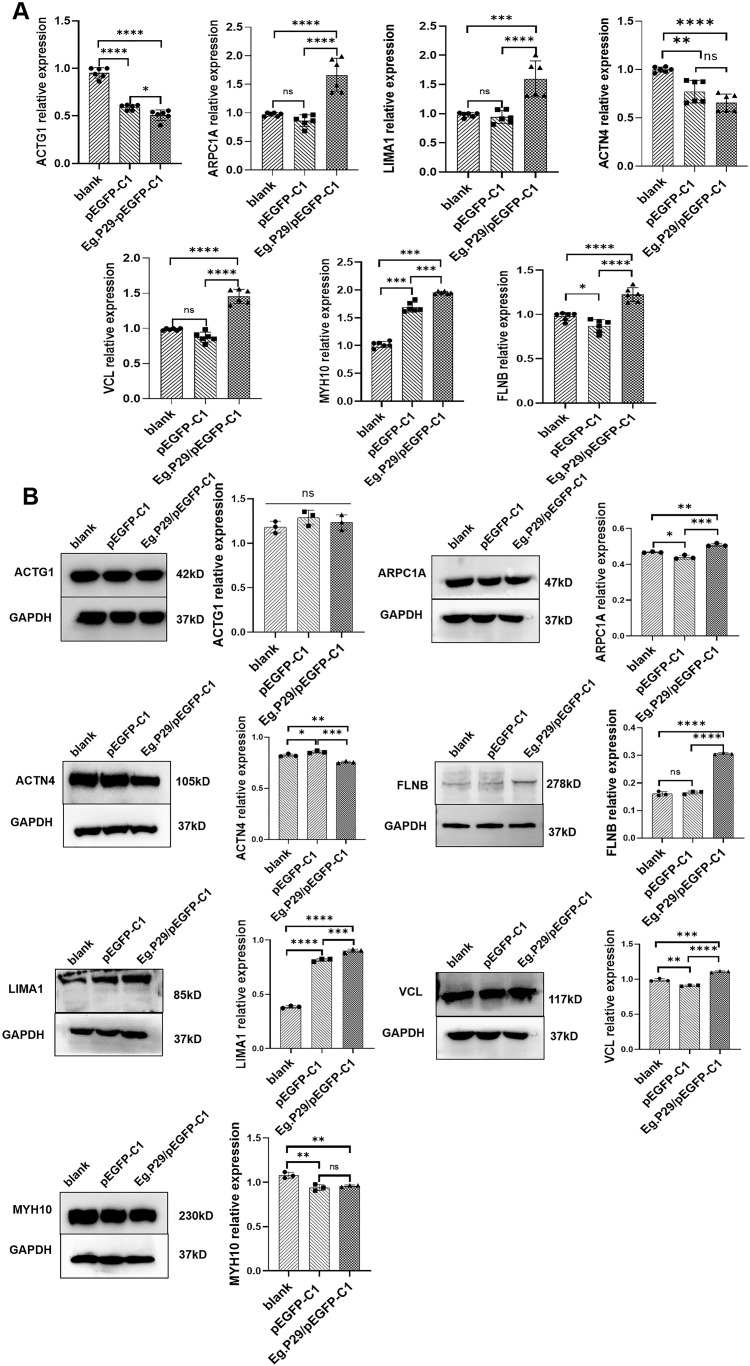 Figure 4