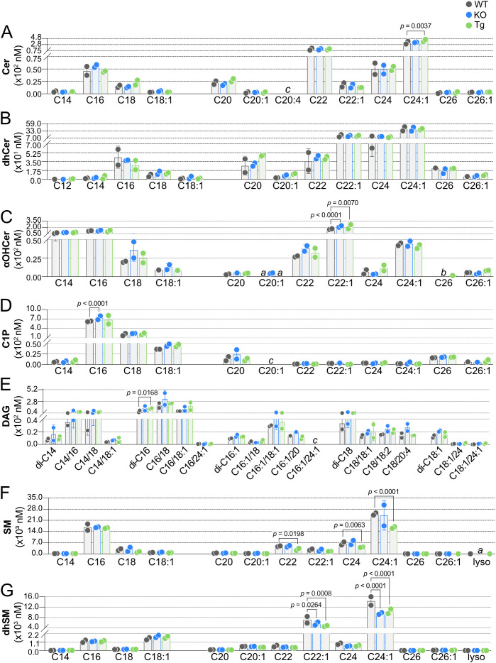 Figure 6