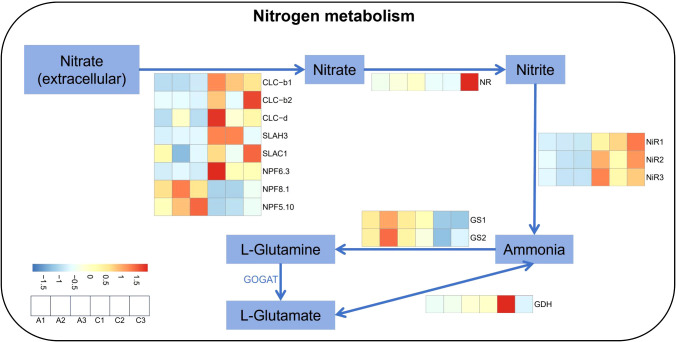 Figure 3