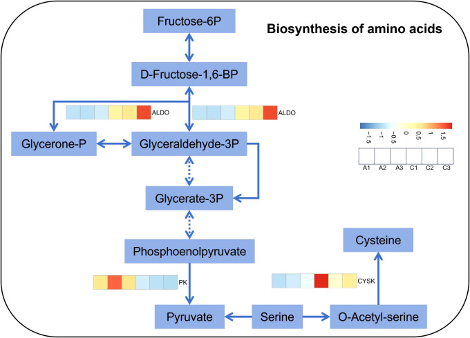 Figure 5
