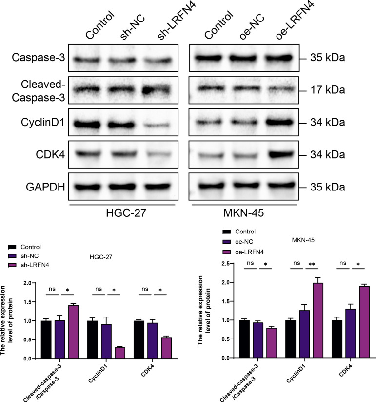 Figure 1