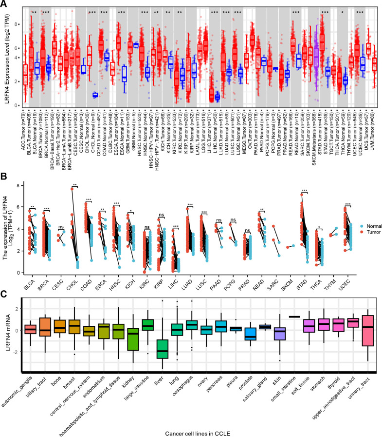 Figure 2
