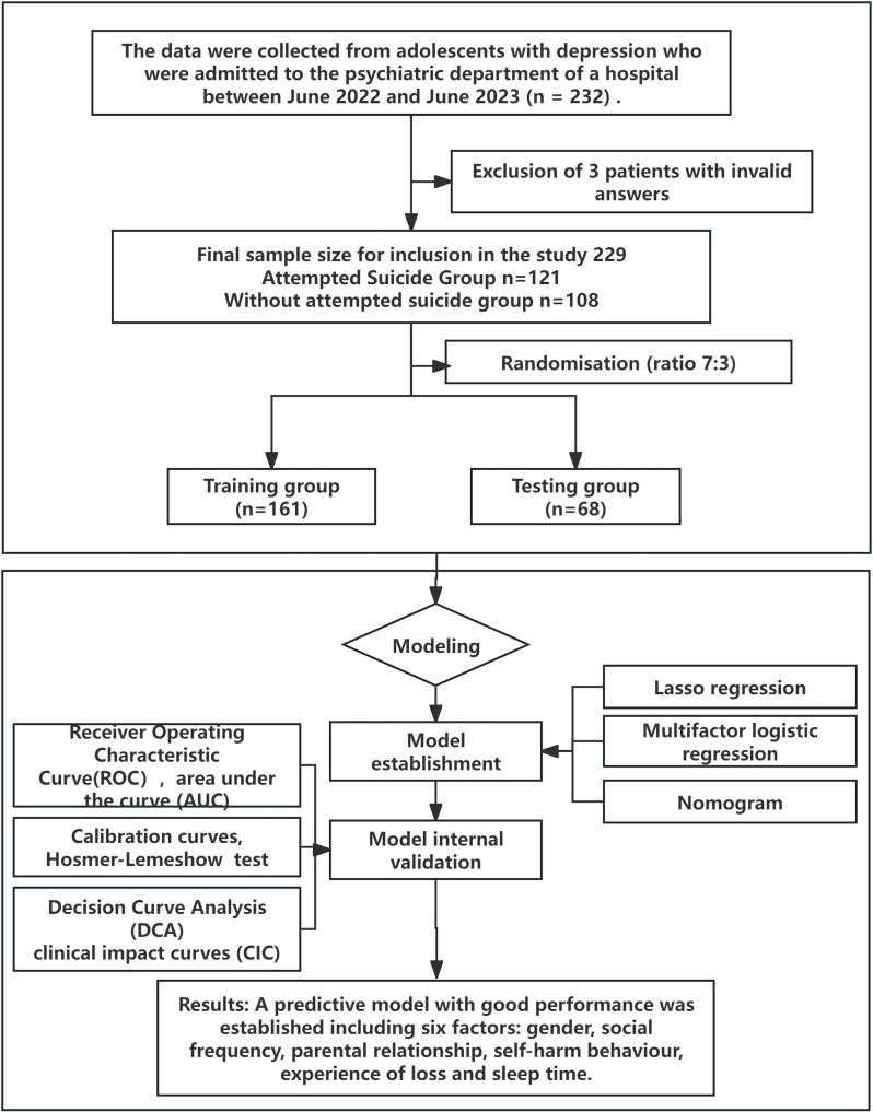 Figure 1