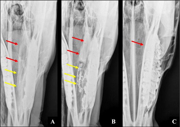 FIGURE 4