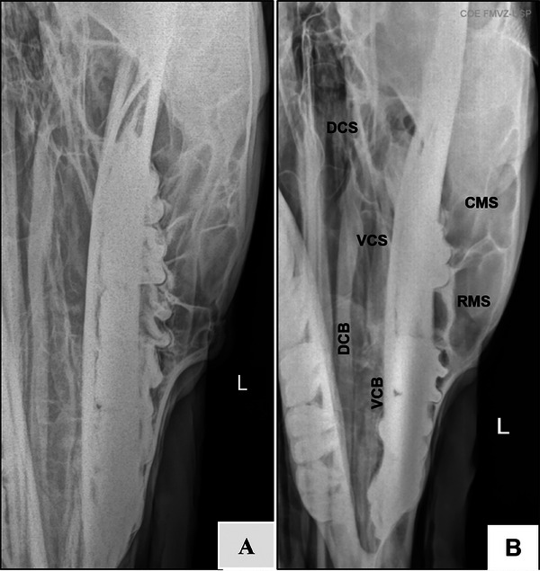 FIGURE 3