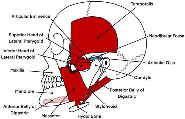 FIGURE 1