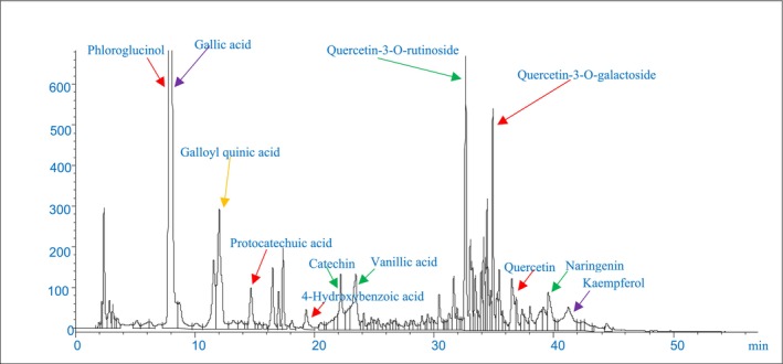 FIGURE 1