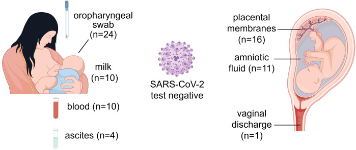 Figure 4